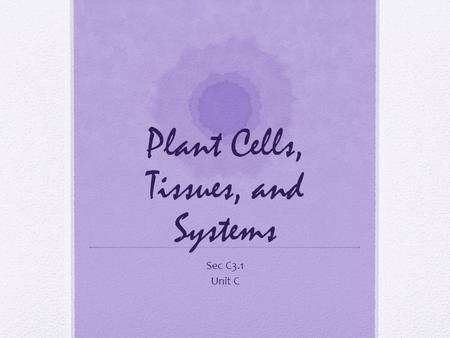 Plant Cells, Tissues, and Systems