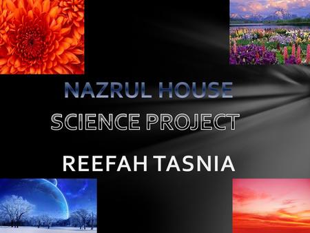 NAZRUL HOUSE SCIENCE PROJECT REEFAH TASNIA.