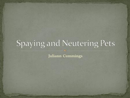 Juliann Cummings. Euthanized dogs and cats Problems in our community Health problems of animals not spayed and neutered Fact or fiction What can you do?