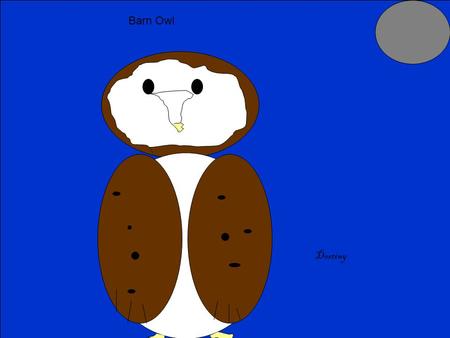 Destiny Barn Owl. Description Coloring: Size: Physical Characteristics: Source #__17_______ White and brown and black eyes 16 inches ( 32 to 41 cm ) It.