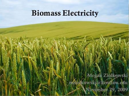 Biomass Electricity Megan Ziolkowski November 29, 2009.