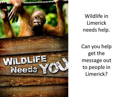 Wildlife in Limerick needs help. Can you help get the message out to people in Limerick?