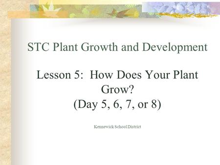 STC Plant Growth and Development Lesson 5: How Does Your Plant Grow? (Day 5, 6, 7, or 8) Kennewick School District.