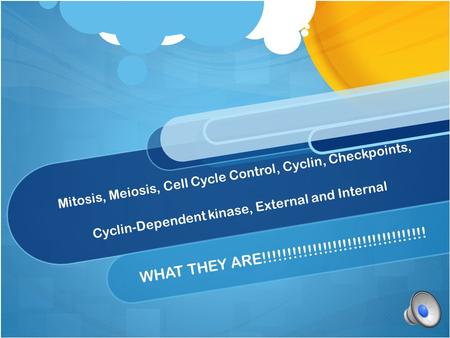 Mitosis, Meiosis, Cell Cycle Control, Cyclin, Checkpoints, Cyclin-Dependent kinase, External and Internal WHAT THEY ARE!!!!!!!!!!!!!!!!!!!!!!!!!!!!!!!!!