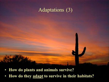Adaptations (3) How do plants and animals survive?