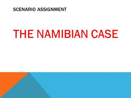 SCENARIO ASSIGNMENT THE NAMIBIAN CASE. STRENGTHS  Passionate about their work  Journalists know that their purpose is to serve the public not the government.