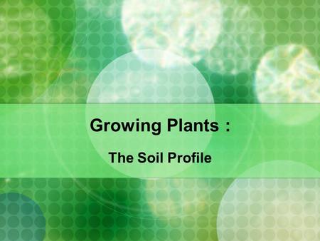 Growing Plants : The Soil Profile. What is Soil Made up of?