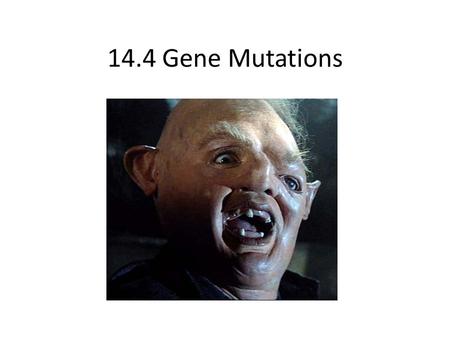 14.4 Gene Mutations. What is a Mutation? A mutation is any change in the amount or structure of the DNA of an organism. KEY POINT: If this occurs in somatic.