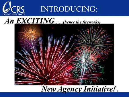 An EXCITING ……(hence the fireworks) New Agency Initiative! INTRODUCING: 1.