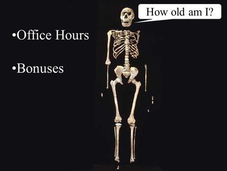 How old am I? Office Hours Bonuses. 1.7 million-year-old human ancestor.