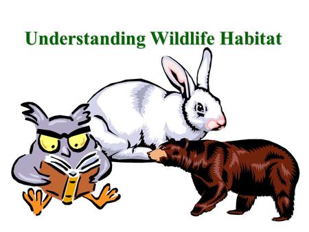 Understanding Wildlife Habitat What is Wildlife Habitat? The kind of place where an… –Animal –Bird –Fish –or plant live in a natural state.