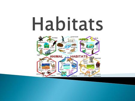 Objective: Students will be introduced to six different habitats and will match specific animals to the unique habitat that God designed to meet their.