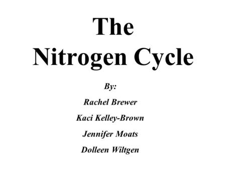 The Nitrogen Cycle By: Rachel Brewer Kaci Kelley-Brown Jennifer Moats Dolleen Wiltgen.