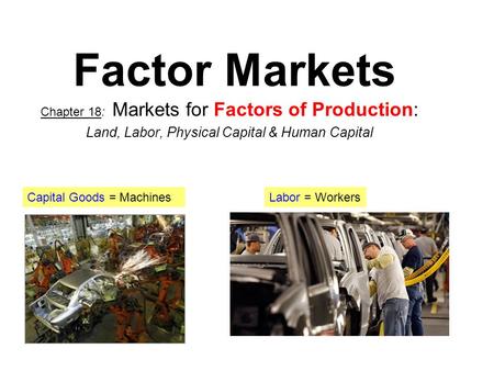 Factor Markets Land, Labor, Physical Capital & Human Capital