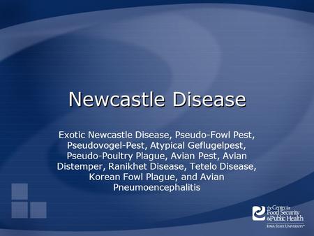 Newcastle Disease Exotic Newcastle Disease, Pseudo-Fowl Pest, Pseudovogel-Pest, Atypical Geflugelpest, Pseudo-Poultry Plague, Avian Pest, Avian Distemper,