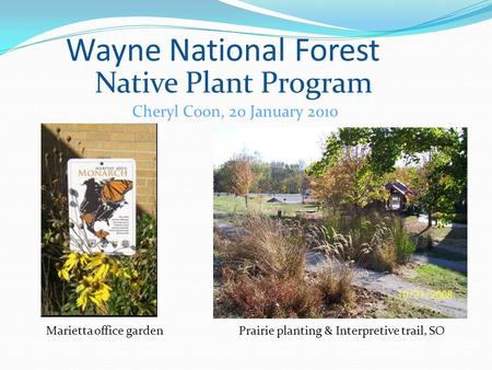 Wayne National Forest Native Plant Program Cheryl Coon, 20 January 2010 Prairie planting & Interpretive trail, SO Marietta office garden.