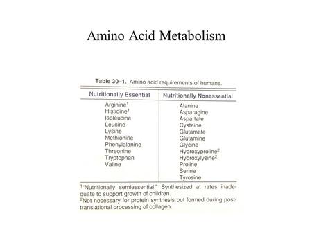 Amino Acid Metabolism. Essential Amino Acids Essential amino acids must be consumed in the diet. Mammalian cells lack enzymes to synthesize their carbon.