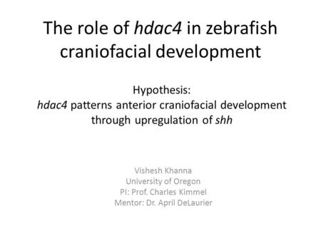 The role of hdac4 in zebrafish craniofacial development Vishesh Khanna University of Oregon PI: Prof. Charles Kimmel Mentor: Dr. April DeLaurier Hypothesis: