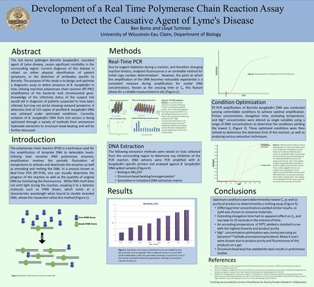Development of a Real Time Polymerase Chain Reaction Assay to Detect the Causative Agent of Lyme's Disease Abstract The tick borne pathogen Borrelia burgdorferi,