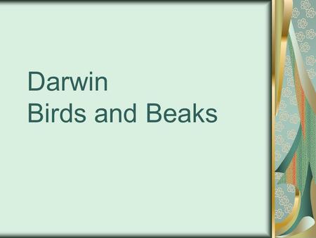 Darwin Birds and Beaks. Darwin Galapagos Island Review Turtles Developed different necks Short Medium Long Food Supply Different areas of habitation.