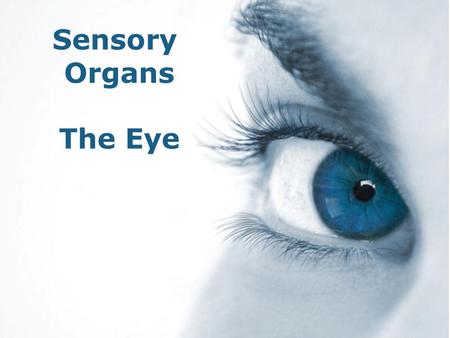 Sensory Organs The Eye Free Powerpoint Templates.