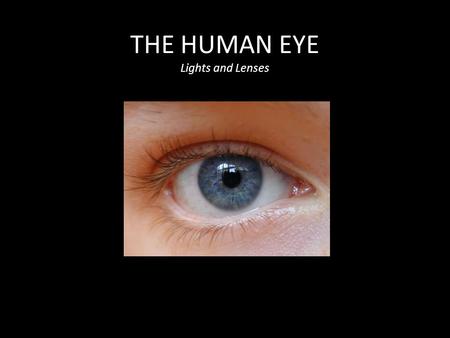 THE HUMAN EYE Lights and Lenses. Explore: How does the eye focus an image? Procedure: -Position yourself so you can clearly see an object across the room.