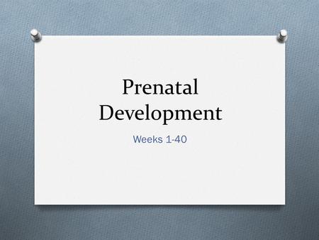Prenatal Development Weeks 1-40.