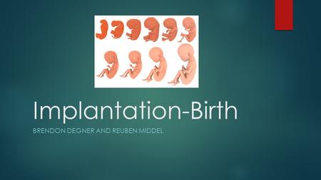 Implantation-Birth BRENDON DEGNER AND REUBEN MIDDEL.