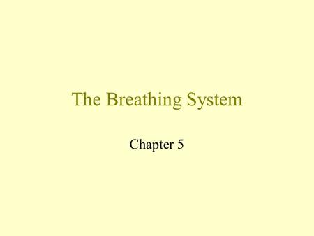 The Breathing System Chapter 5 Why are the lungs important?
