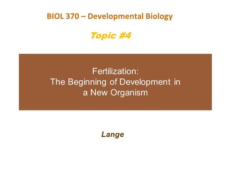 Fertilization: The Beginning of Development in a New Organism
