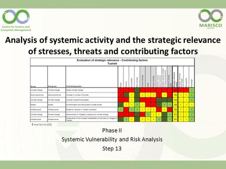Analysis of systemic activity and the strategic relevance of stresses, threats and contributing factors Phase II Systemic Vulnerability and Risk Analysis.