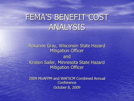 FEMA’S BENEFIT COST ANALYSIS Roxanne Gray, Wisconsin State Hazard Mitigation Officer and Kristen Sailer, Minnesota State Hazard Mitigation Officer 2009.