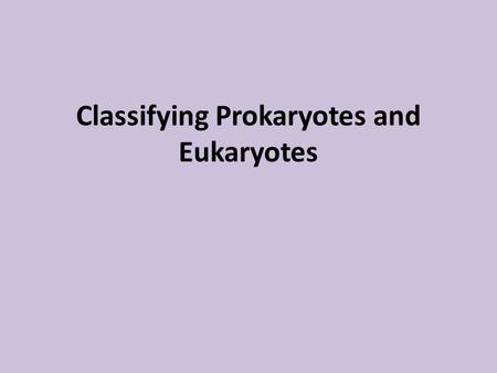 Classifying Prokaryotes and Eukaryotes