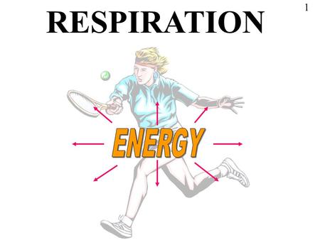 RESPIRATION 1. It is worth while studying this presentation thoroughly because it is essential for an understanding of all the activities of living cells.