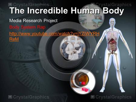 The Incredible Human Body Media Research Project Body System Rap  ReM.