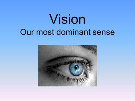 Vision Our most dominant sense