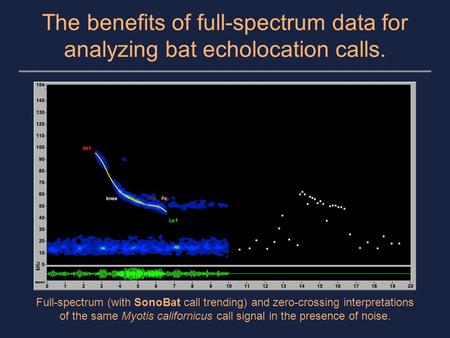 The benefits of full-spectrum data for analyzing bat echolocation calls. Full-spectrum (with SonoBat call trending) and zero-crossing interpretations of.