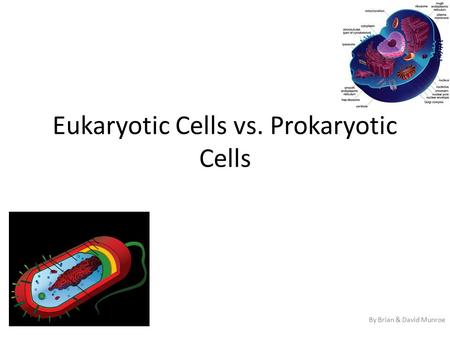 Eukaryotic Cells vs. Prokaryotic Cells By Brian & David Munroe.
