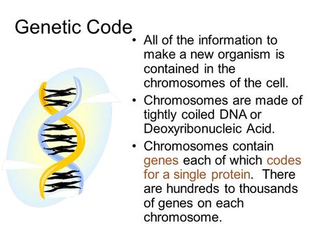 Genetic Code All of the information to make a new organism is contained in the chromosomes of the cell. Chromosomes are made of tightly coiled DNA or Deoxyribonucleic.