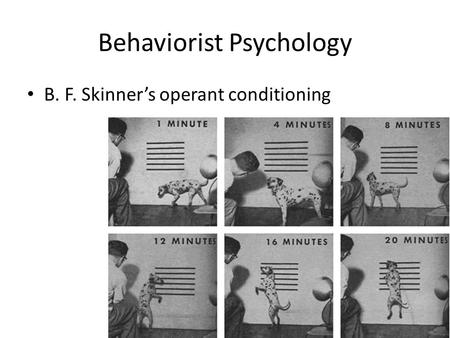Behaviorist Psychology R+R- P+P- B. F. Skinner’s operant conditioning.