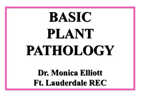 Dr. Monica Elliott Ft. Lauderdale REC