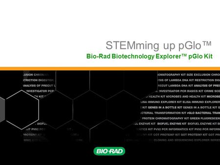 STEMming up pGlo™ Bio-Rad Biotechnology Explorer™ pGlo Kit.