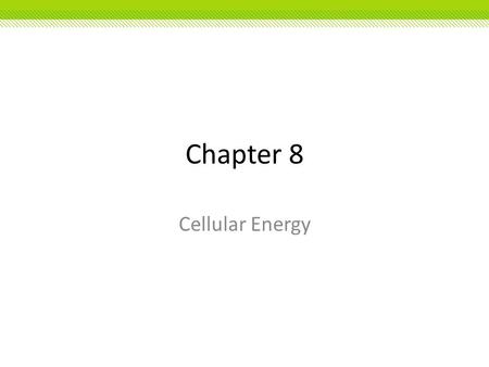 Chapter 8 Cellular Energy.
