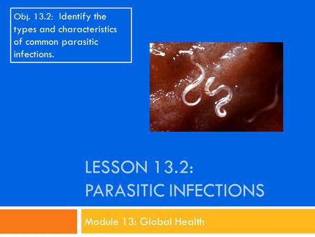 LESSON 13.2: PARASITIC INFECTIONS Module 13: Global Health Obj. 13.2: Identify the types and characteristics of common parasitic infections.