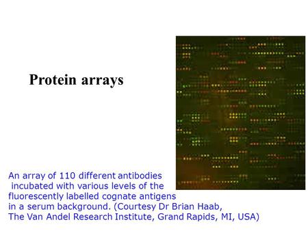 Protein arrays LEAPS technology An array of 110 different antibodies incubated with various levels of the fluorescently labelled cognate antigens in a.