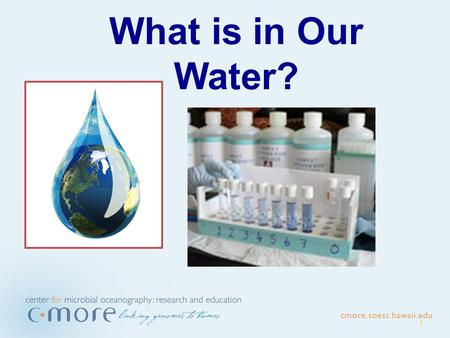 1 What is in Our Water?. Background slides for the whole unit The water cycle Nutrients Eutrophication.