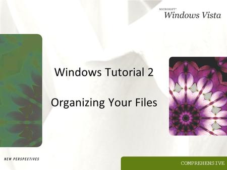 COMPREHENSIVE Windows Tutorial 2 Organizing Your Files.