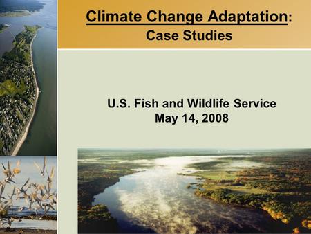 Climate Change Adaptation : Case Studies U.S. Fish and Wildlife Service May 14, 2008.