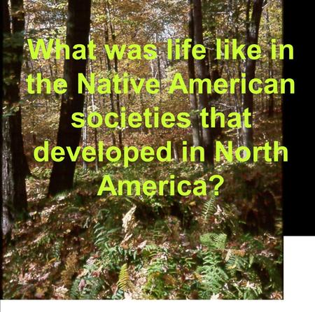 What was life like in the Native American societies that developed in North America?