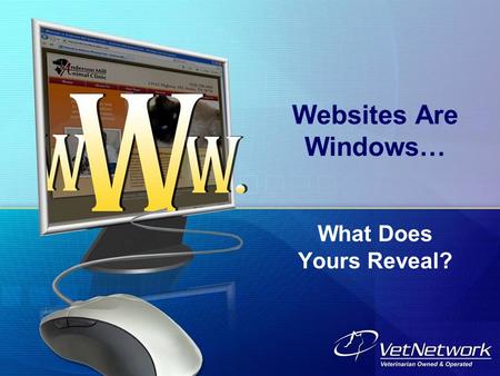 Websites Are Windows… What Does Yours Reveal?. What Must Your Website Reveal? Your Website must meet the Needs and Expectations of Clients and Perspective.